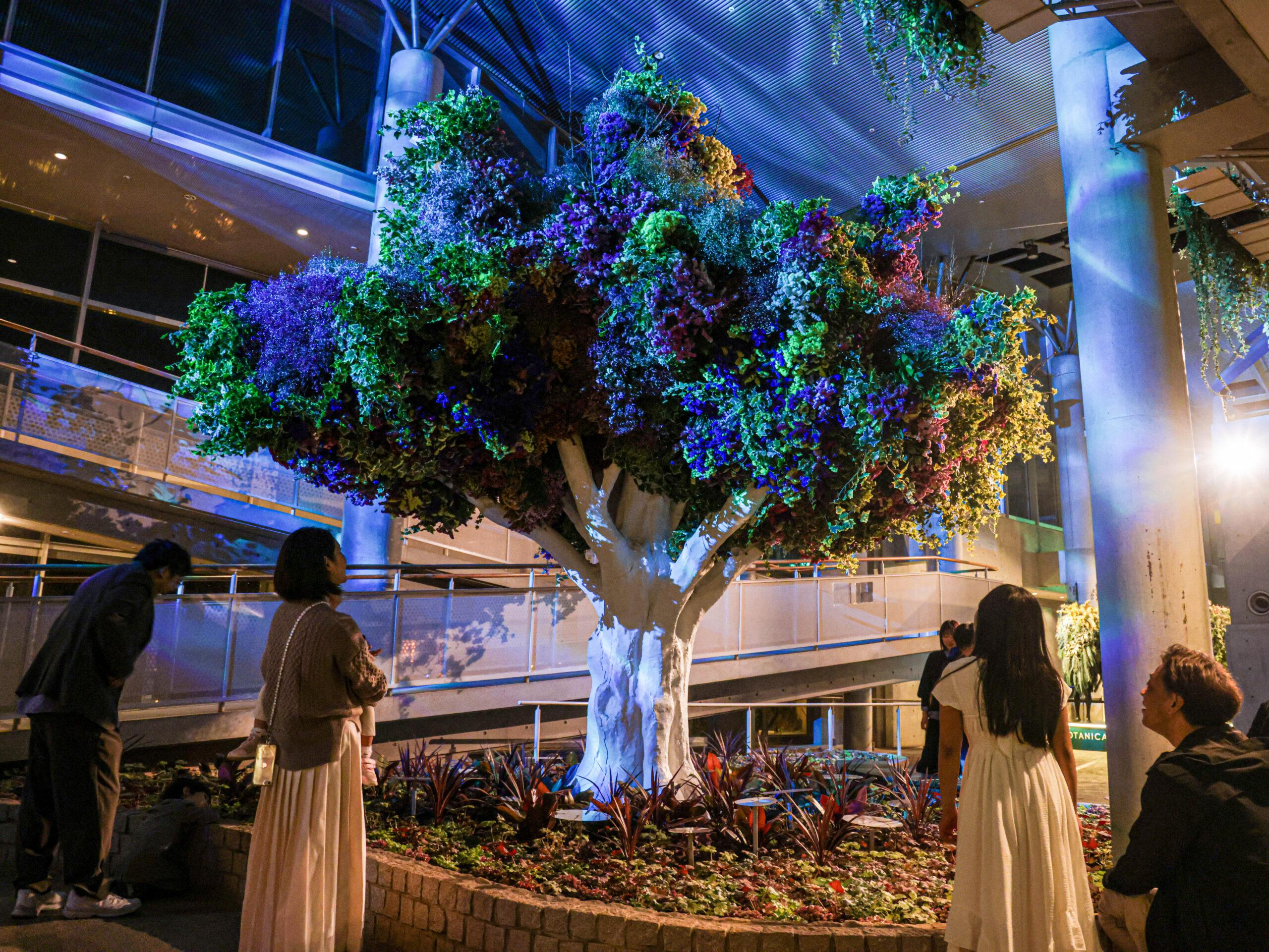 🌸 보타니카 뮤지엄 이미지 7